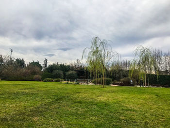 Scenic view of grassy field against sky