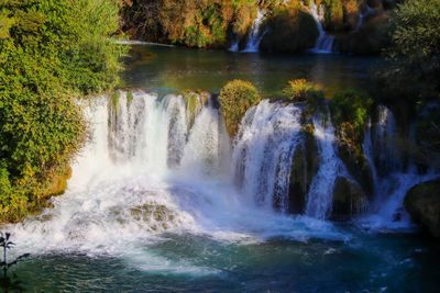 Scenic view of waterfall in forest