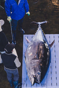 Low section of man fishing fish