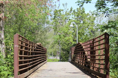 Empty footpath amidst trees in forest