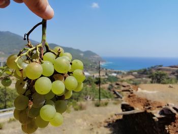 Man holding grapes in sea against sky