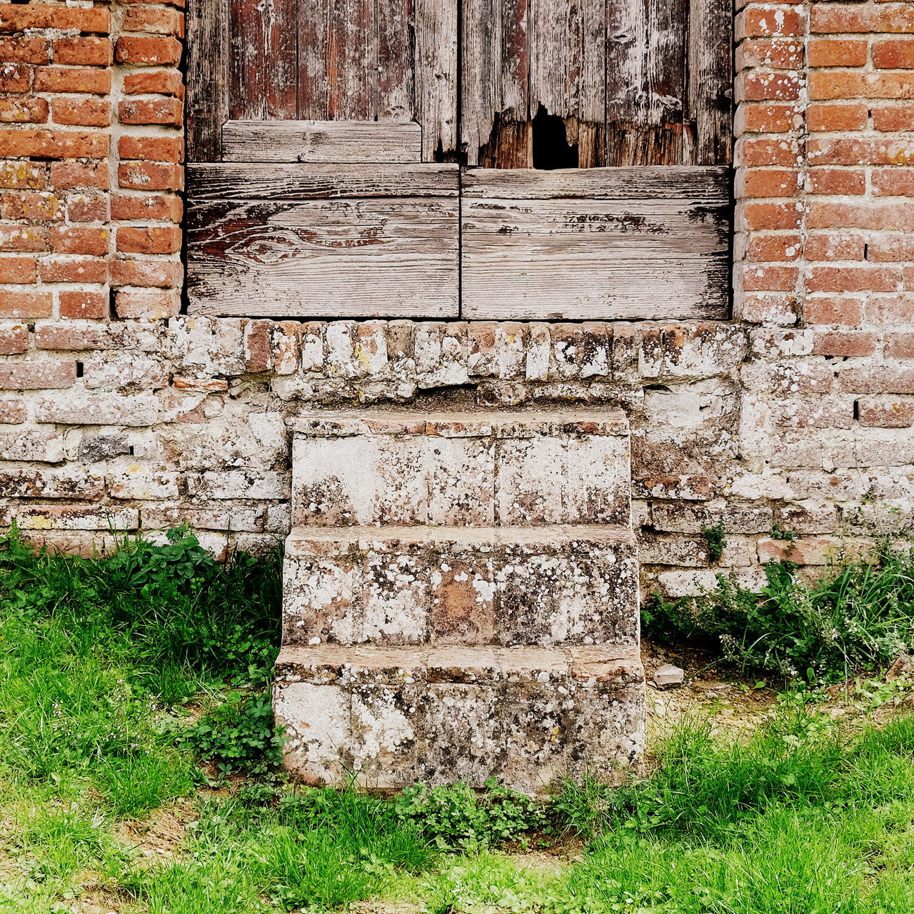 architecture, built structure, wall, brick wall, brick, wall - building feature, grass, no people, day, old, building exterior, plant, history, outdoors, weathered, field, nature, the past, damaged, solid, stone wall, deterioration