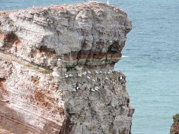 Rock formations on cliff