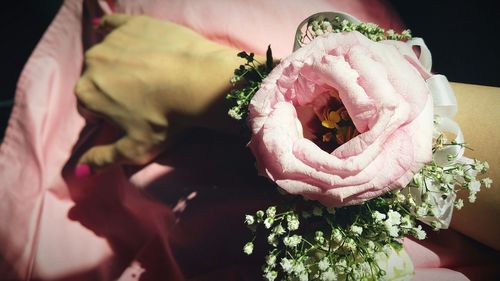 Cropped hand of woman with pink flower