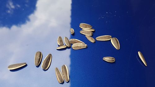 Close-up view of coins