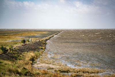 Man walking on field by sea against sky