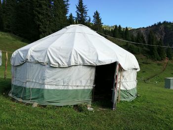 Tent in grass