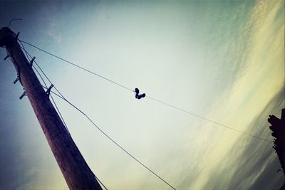 Low angle view of birds perching on power line