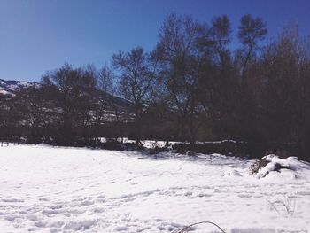 Scenic view of snow covered landscape