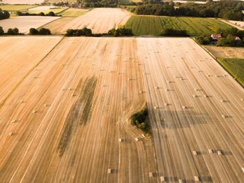 High angle view of agricultural field