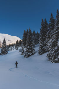 People skiing on snow covered landscape