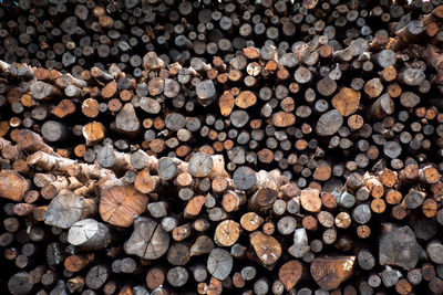 Full frame shot of logs