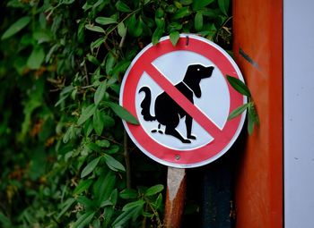 Close-up of warning sign by plant