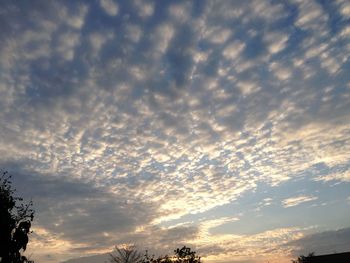 Low angle view of silhouette trees against sky during sunset