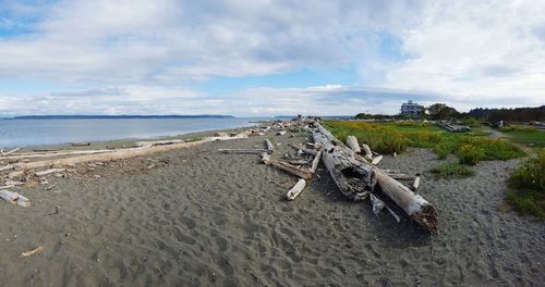 Scenic view of beach against sky