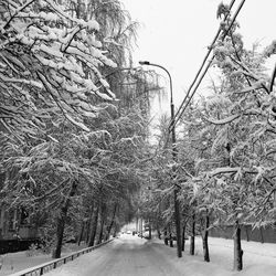 Snow covered road amidst trees against sky