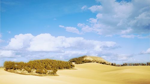 Scenic view of land against sky