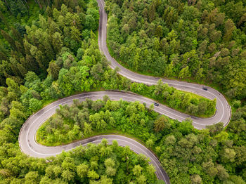 High angle view of road amidst trees