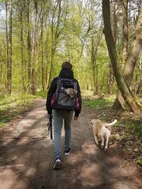 Rear view of man with dog walking in forest