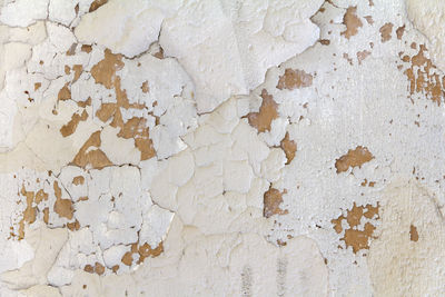 Full frame rundown house facade closeup with white peeling paint