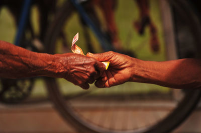 Close-up of hand holding leaf