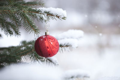 Close-up of bauble hanging on tree
