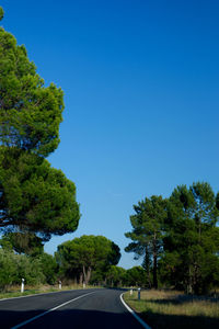 Road amidst trees against clear blue sky