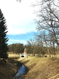 Bare trees on field against sky