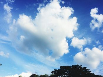 Low angle view of trees against blue sky
