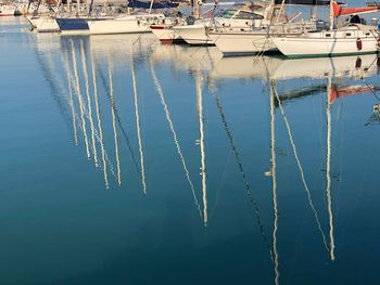 Sailboats in marina
