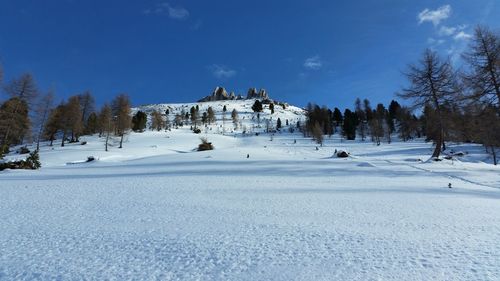 Snow covered landscape