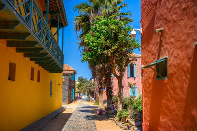 Street amidst houses