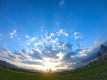 Scenic view of agricultural field against sky during sunset