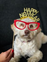 Midsection of person holding dog