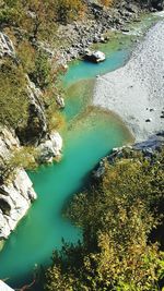 High angle view of trees by river