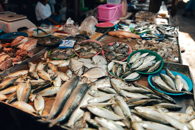 High angle view of seafood for sale at market