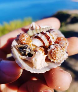 Close-up of hand holding ice cream