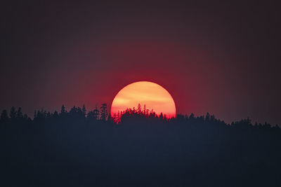 Silhouette trees against sky during sunset