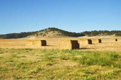 Large square hay bales tied tight