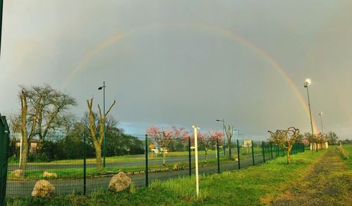 Rainbow over a field