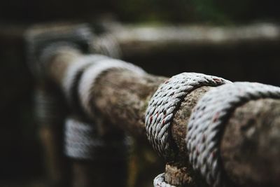 Close-up of rope rolled on wooden railing