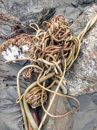 High angle view of ropes on rock