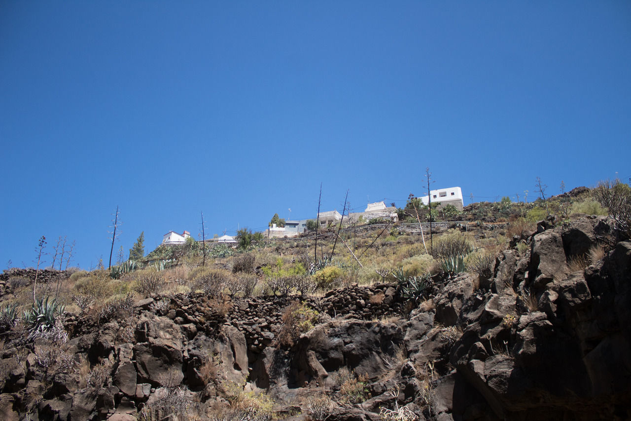 sky, clear sky, copy space, blue, nature, rock, day, no people, plant, land, environment, rock - object, tranquility, tree, landscape, built structure, architecture, scenics - nature, solid, tranquil scene, outdoors, arid climate