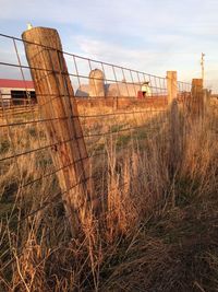 Grass growing by bridge against sky