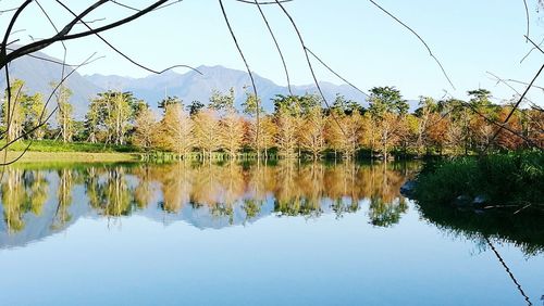 Reflection of trees in lake against clear sky