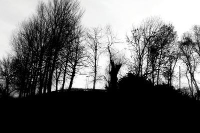 Low angle view of bare trees against sky