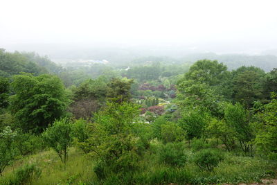 Scenic view of green landscape against sky