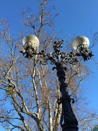 Low angle view of bare trees against blue sky