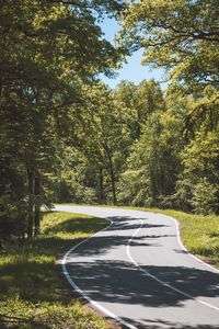 Road amidst trees against sky