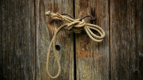 Close-up of wooden door